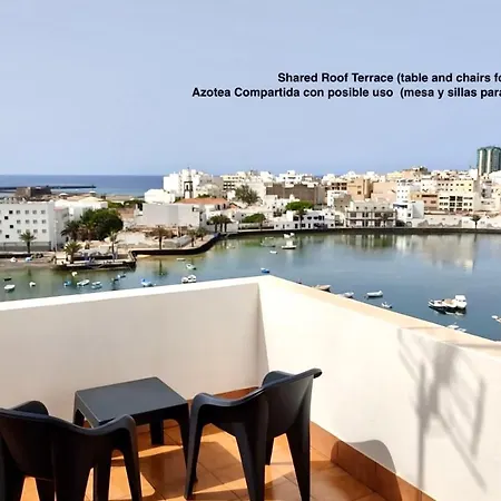 Caracola Del Charco Arrecife (Lanzarote)